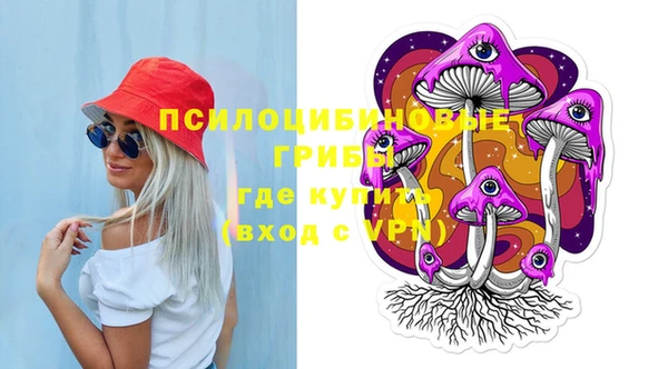 PSILOCYBIN Богданович